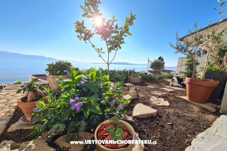 Apartmány Puntin – foto 4