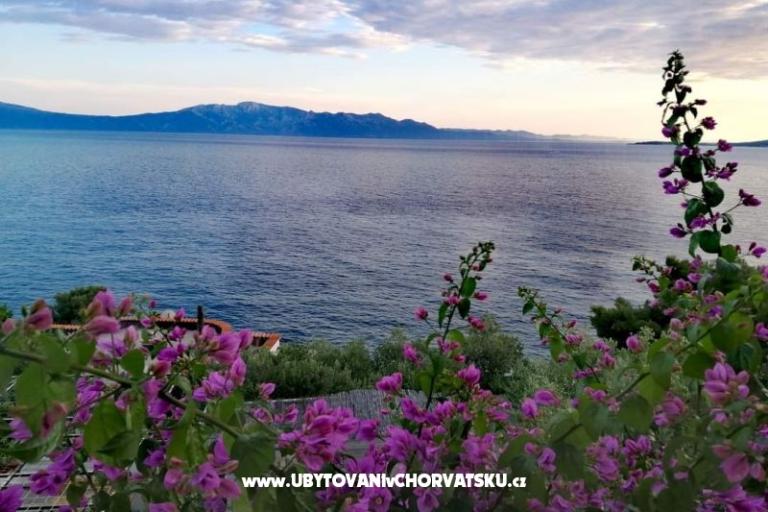 Vila Vesna – foto 2