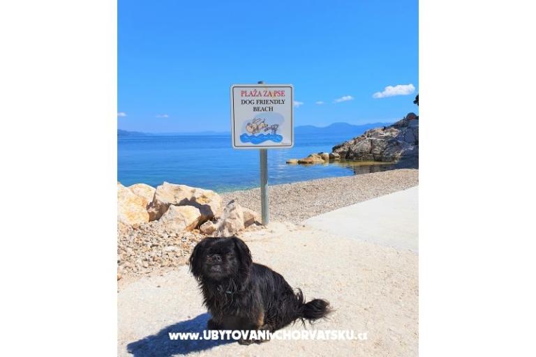 Apartmány Villa Ivan Drvenik – foto 16