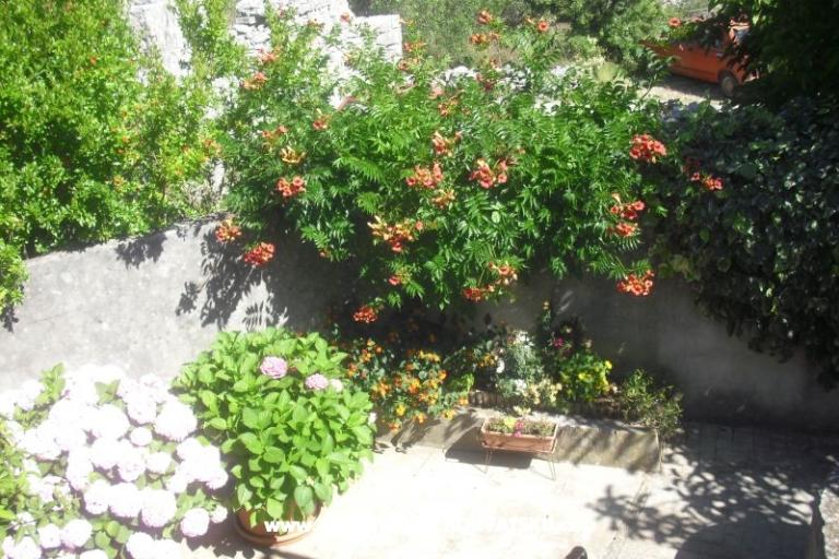 Apartmán Jerkunica – foto 11
