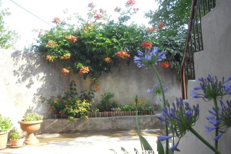 Apartmán Jerkunica – foto 8