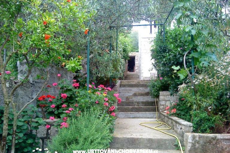 Apartmán Žulji – foto 5