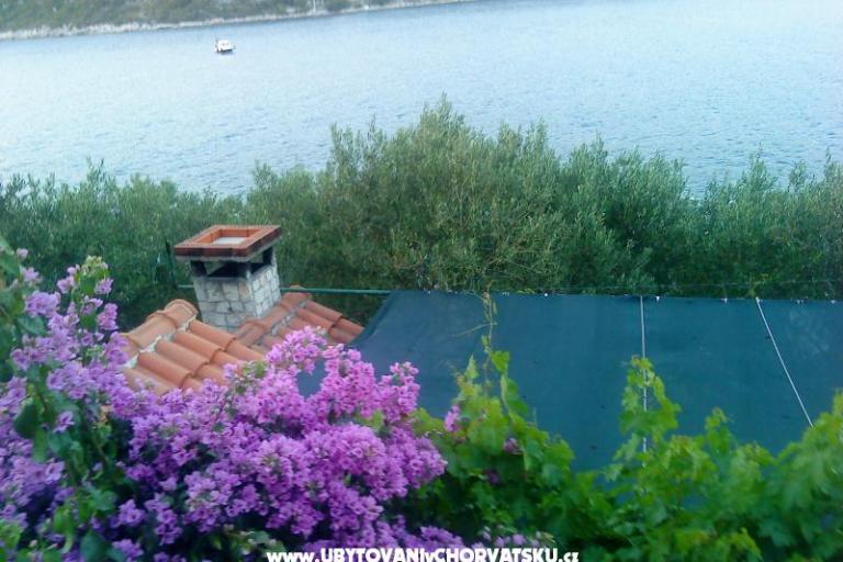 Apartmán Žulji – foto 8