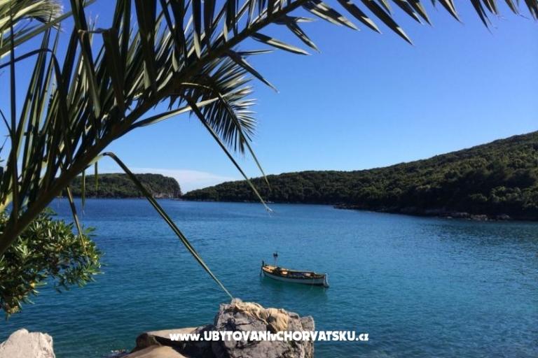 Apartmány Antunović – foto 16