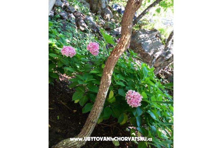 Apartmány Antunović – foto 9