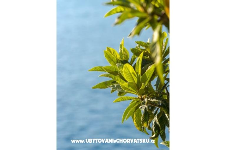 Apartmány Diana – foto 10