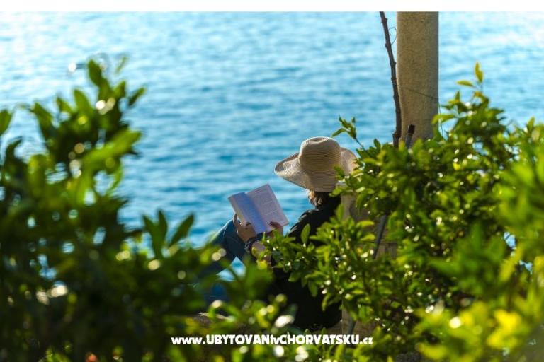 Apartmány Diana – foto 5