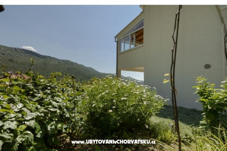 Apartmán Markovic – foto 9