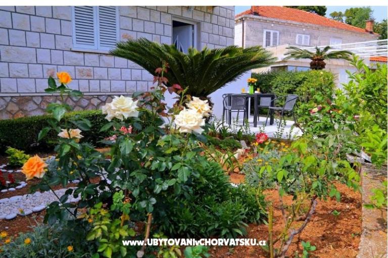Apartmány LOVE DUBROVNIK – foto 14