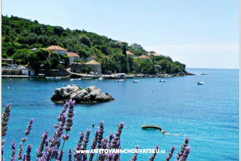 Villa Ana Apartmány – foto 11