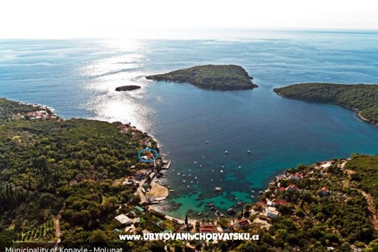 Apartmány Villa Riva Molunat – foto 13