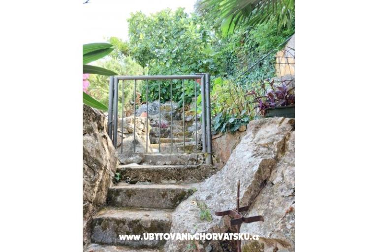 Apartmány Villa Riva Molunat – foto 17