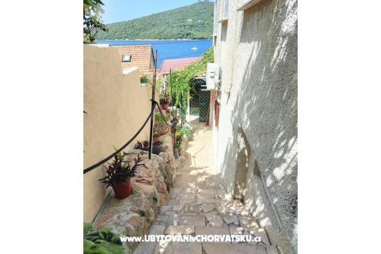 Apartmány Villa Riva Molunat – foto 9