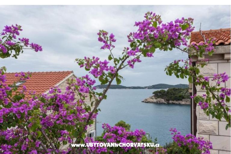 Villa Amica – foto 20