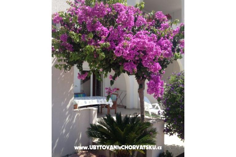 Villa Orij Apartmány – foto 5