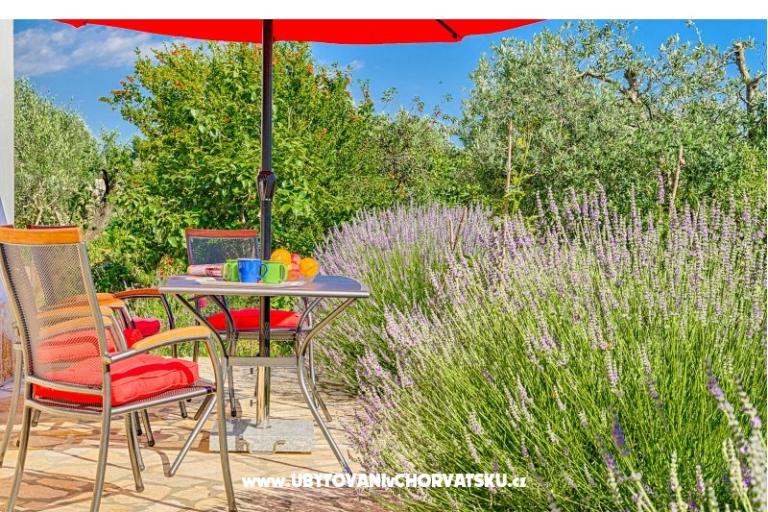 Apartmány Amalia Fažana – foto 5