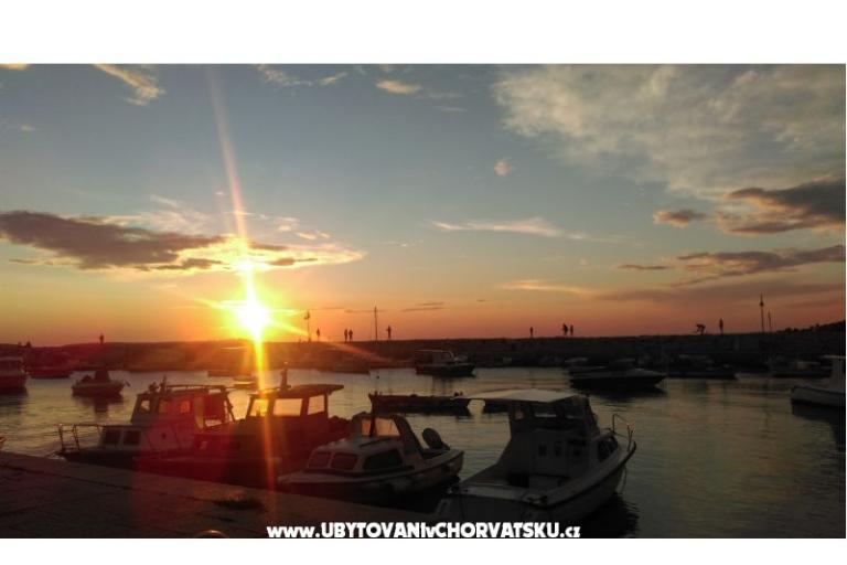 Apartmán NIKOLIC – foto 12