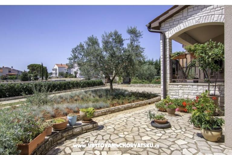 Apartmán NIKOLIC – foto 2