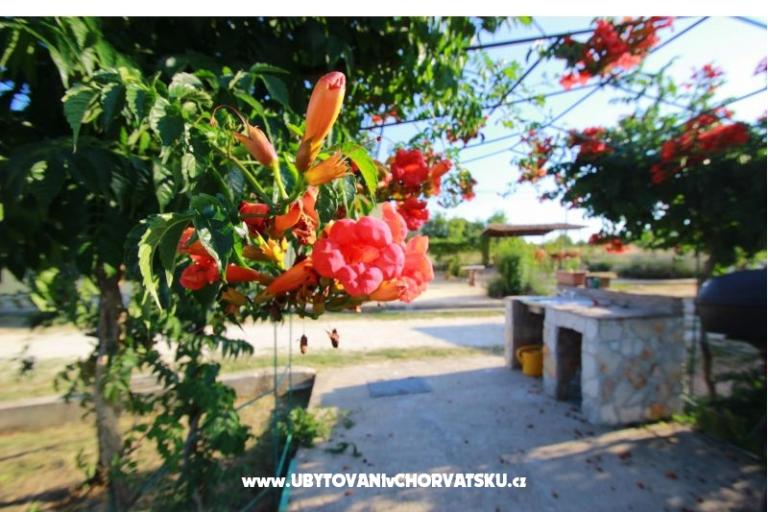 Apartmán Sandra  – foto 11