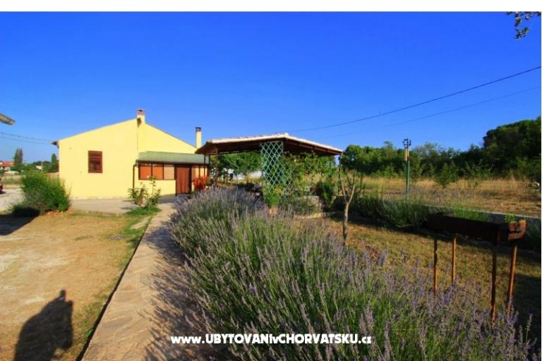 Apartmán Sandra  – foto 12