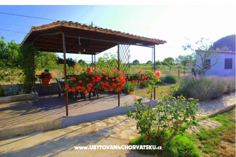 Apartmán Sandra  – foto 8