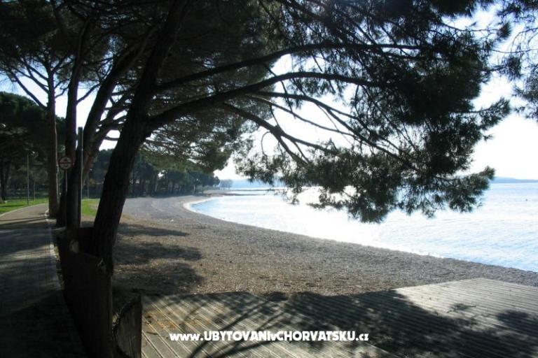 Apartmán Oliva – foto 14