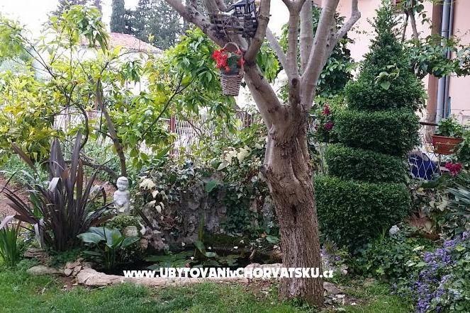 Apartmán Ljuba – foto 2