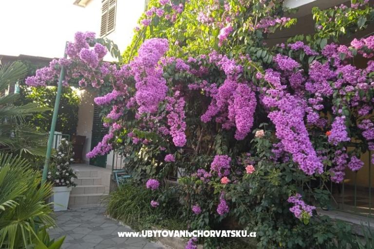 Apartmány Majica – foto 6