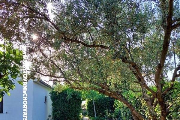 Dům k odpočinku - Apartmán Milka – foto 13