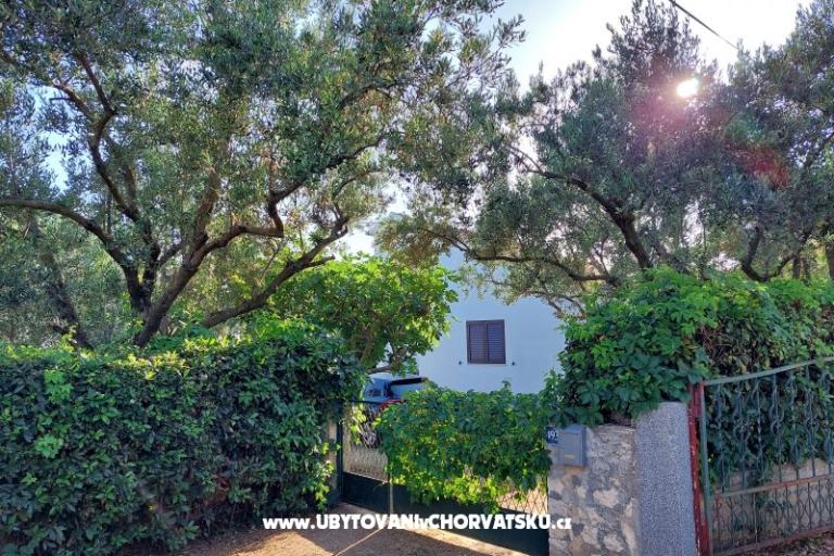 Dům k odpočinku - Apartmán Milka – foto 4