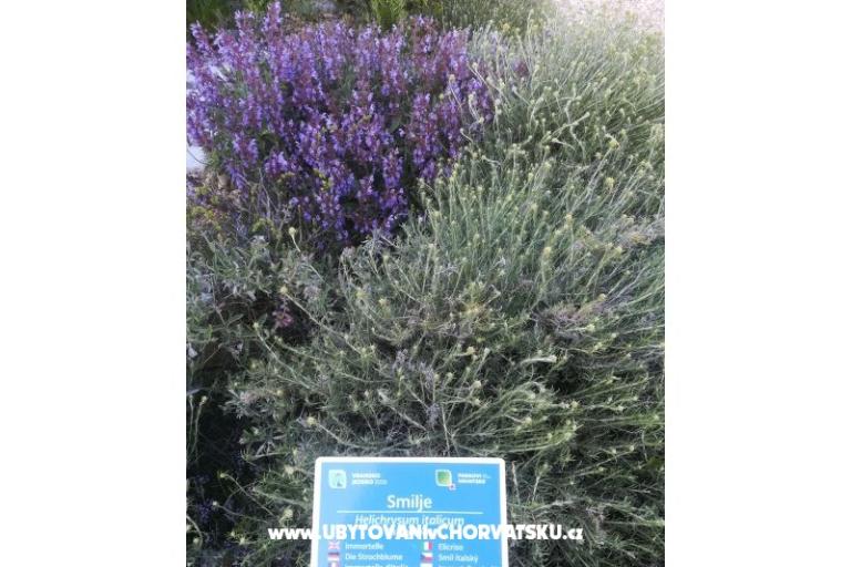 Apartmány Colić – foto 14