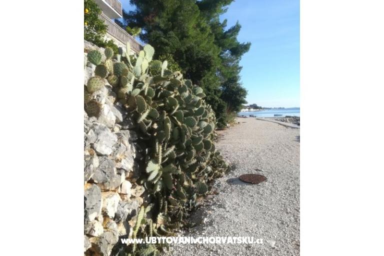 Apartmány Colić – foto 18