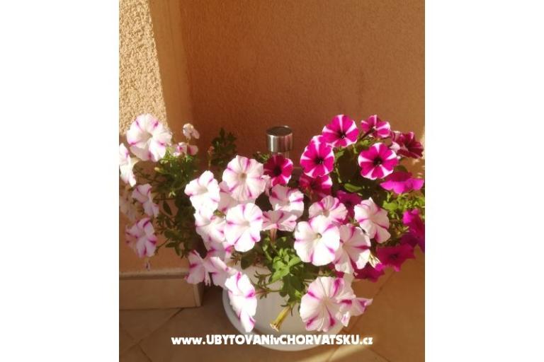 Apartmány Colić – foto 9