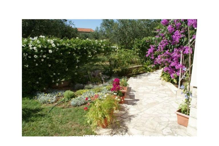 Apartmány Vodopija 50eur/2 os – foto 6