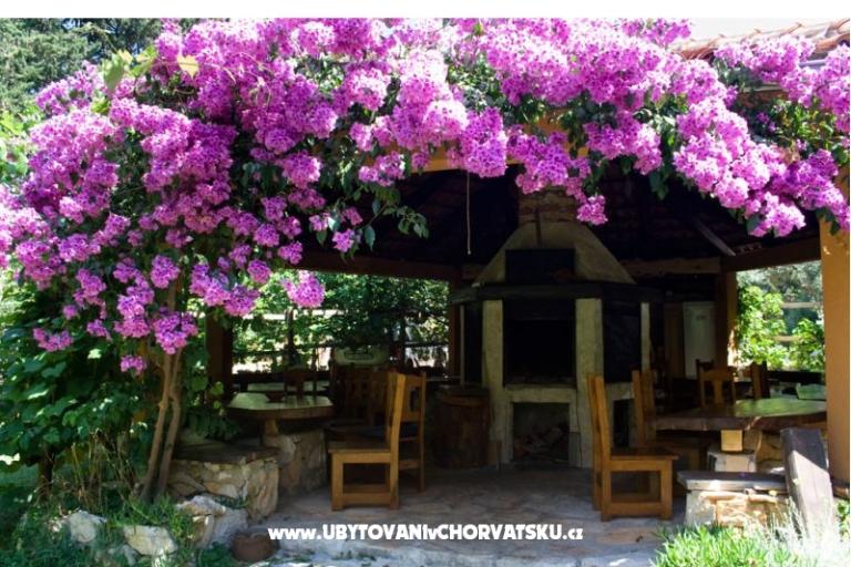 Apartmány PARK – foto 20