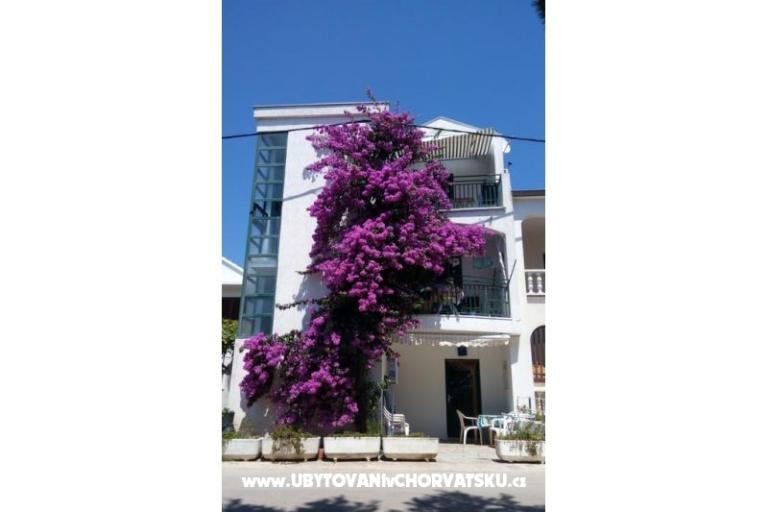 Apartmán Ratka Bolic – foto 16