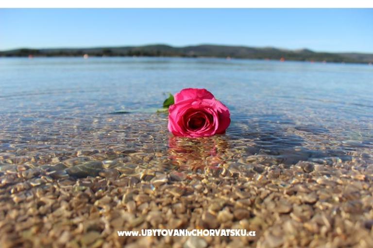 Beach Dům Amarella – foto 14