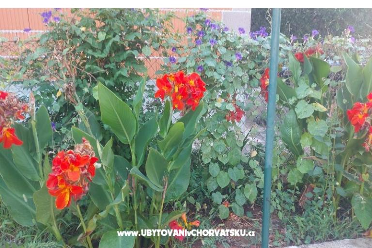 Apartmány Misulic Turanj – foto 16