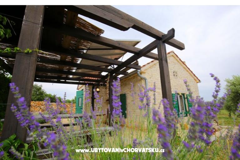 Olive Garden Paljka – foto 10