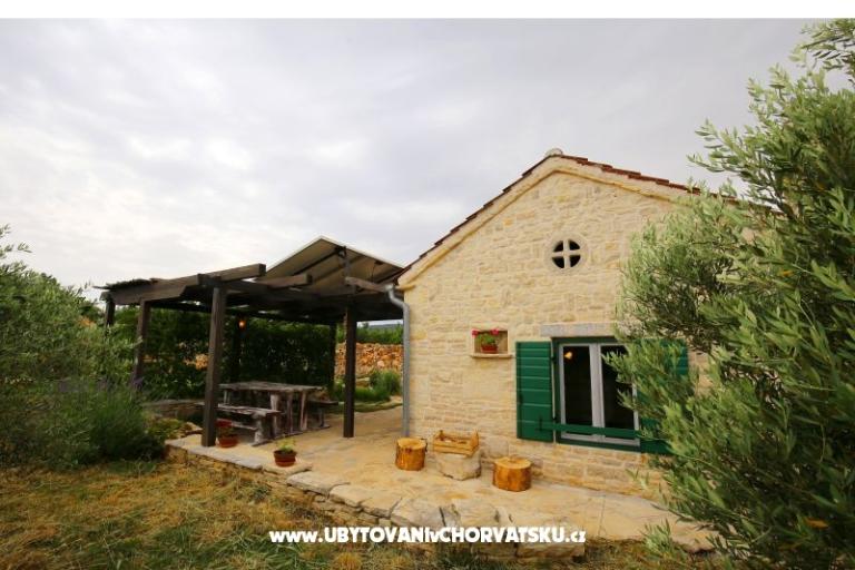 Olive Garden Paljka – foto 12