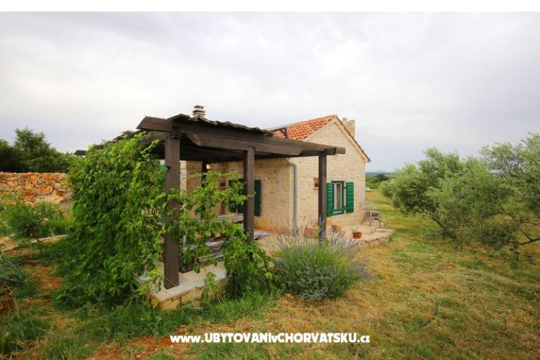Olive Garden Paljka – foto 14