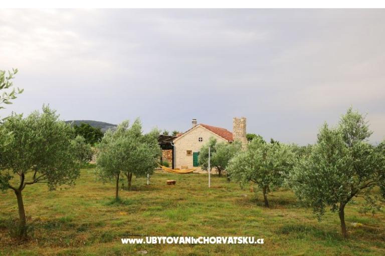 Olive Garden Paljka – foto 17