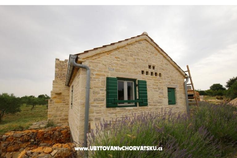 Olive Garden Paljka – foto 9