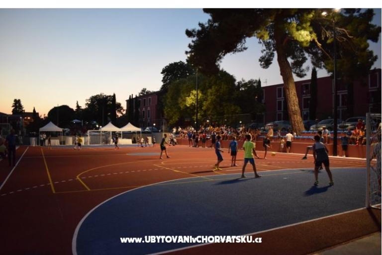 Vila Palma - B88 apartments – foto 16