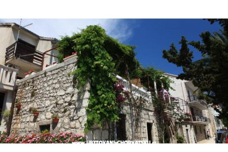 Apartmán Renata – foto 17