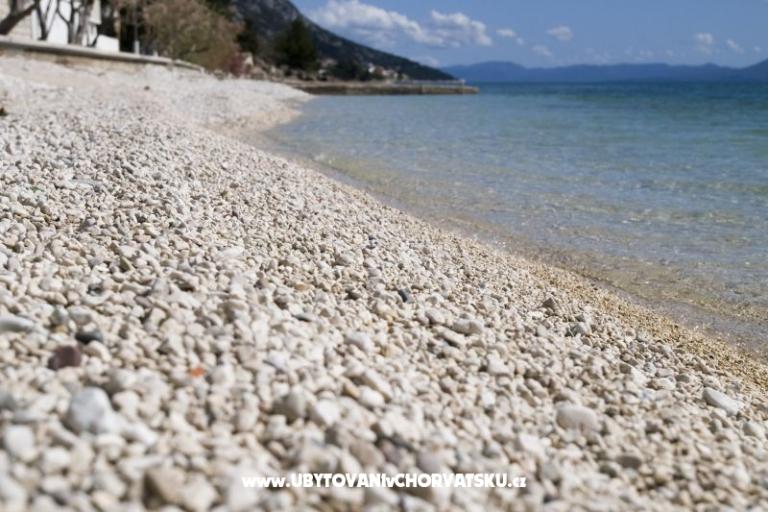 Apartmány Delfin – foto 10