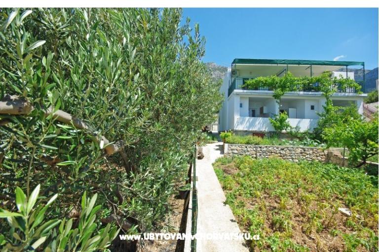 Apartmány i sobe Maslina – foto 9