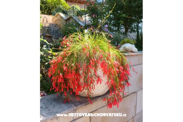 Apartmány Ivana  – foto 19