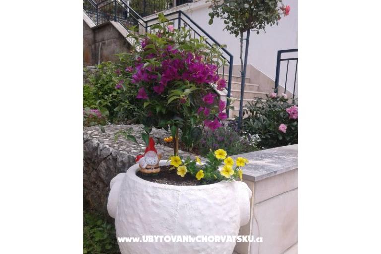 Apartmány Ivana  – foto 26