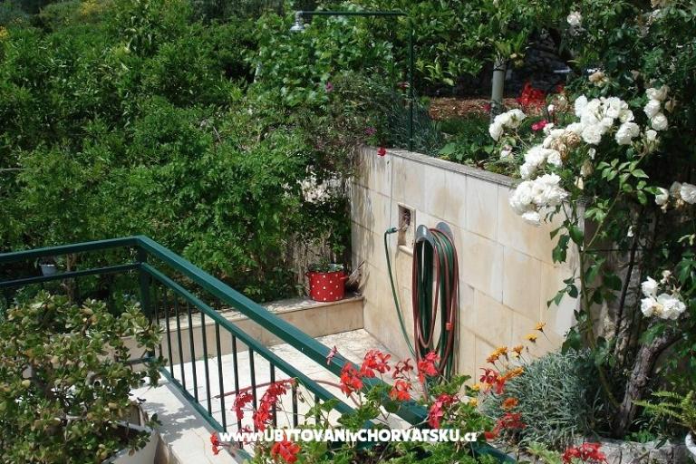 Apartmány Ivana  – foto 4